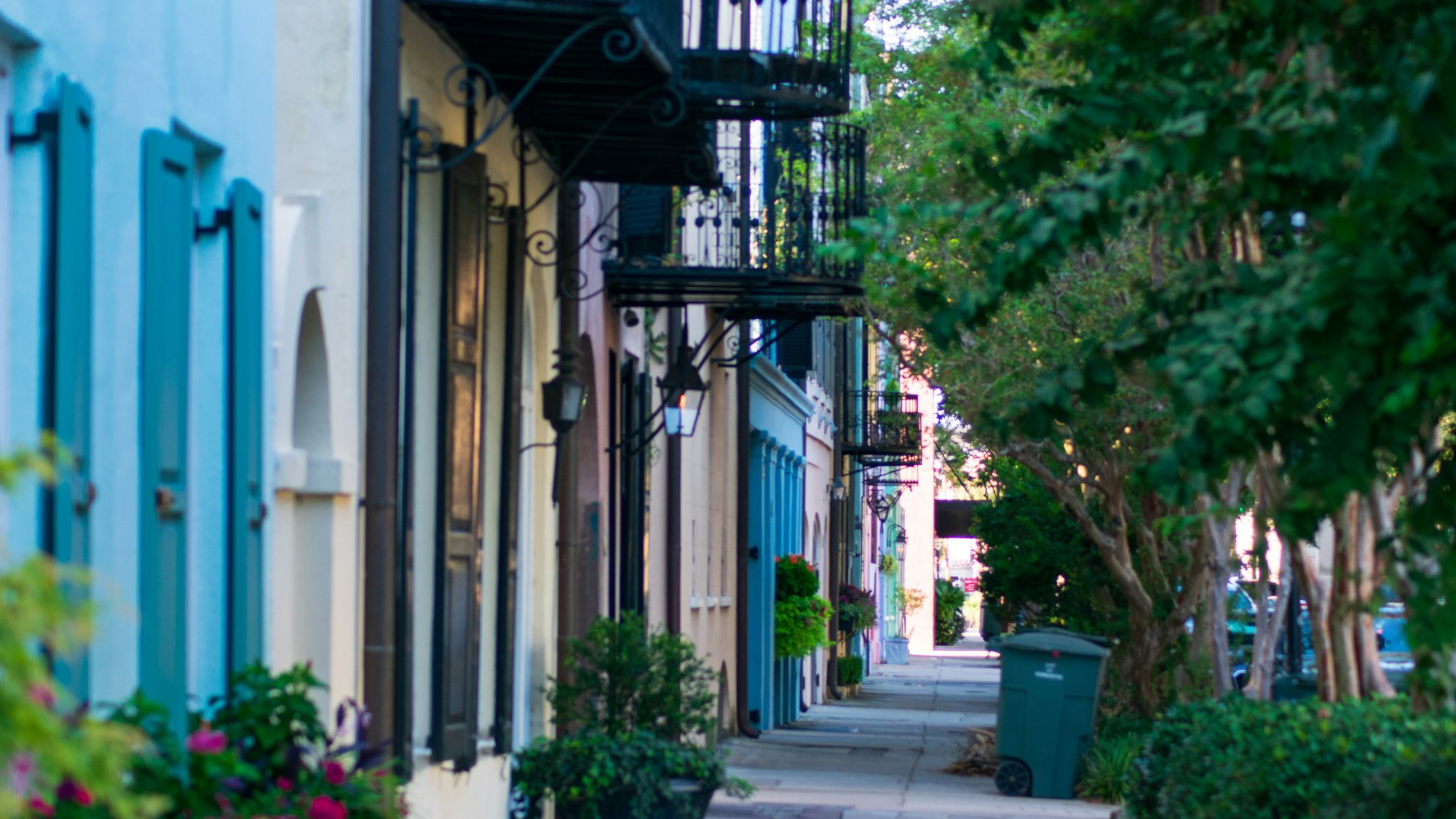 A historic Charleston street with blue shutters and window boxes