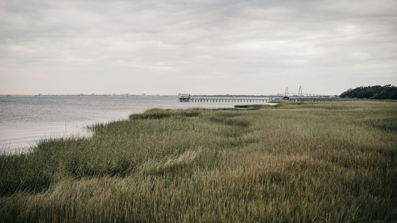Calm marsh and water at sunrise in Charleston