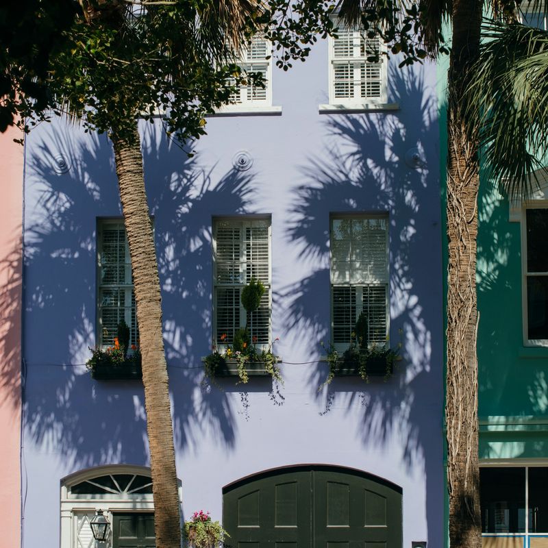 Blue and green historic house fronts behind a palmetto in Charleston
